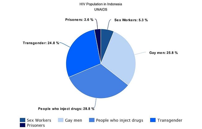 Meta Chart Pie Chart